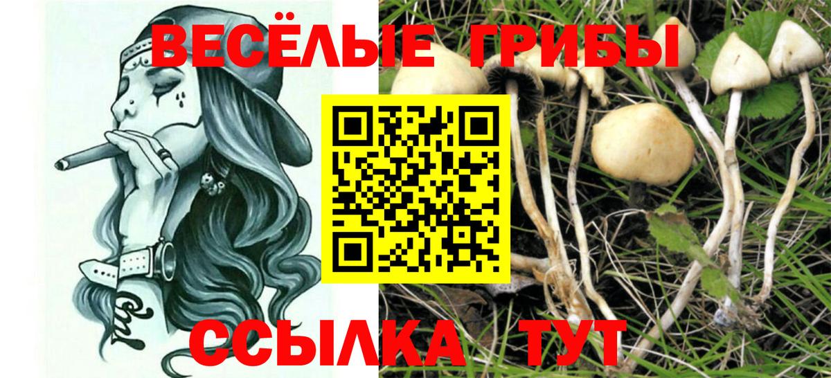 Галлюциногенные грибы ЛСД Славгород