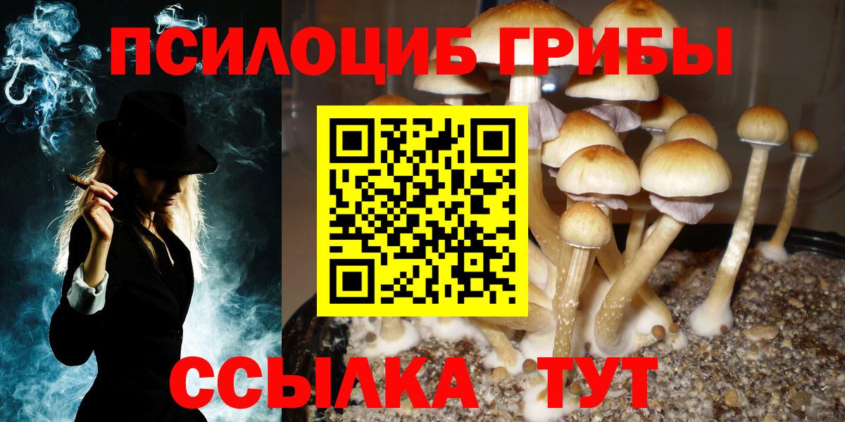 Галлюциногенные грибы MAGIC MUSHROOMS  Вход с VPN  Псилоцибиновые грибы ЛСД  Славгород 
